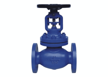 Globe valves